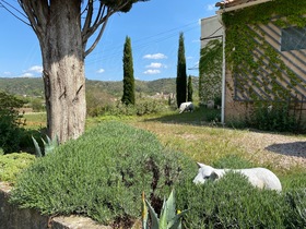 Villa / Propriété à vendre Correns (83570) : Dans un cadre privilégié de la Provence Verte
