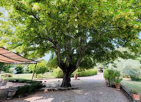 Villa / Propri�t� � vendre Salernes (83690) : Petit bijou dans un �crin de verdure