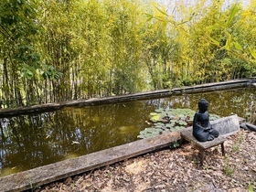 Villa / Propri�t� � vendre Carc�s (83570) : Propri�t� sur plus de 3,6 Ha, avec plusieurs b�tis, vue splendide et calme absolu.