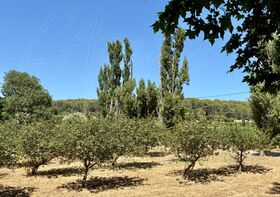 Propri�t� � vendre Cotignac (83570) : Unique sur Cotignac, id�al pour investisseur